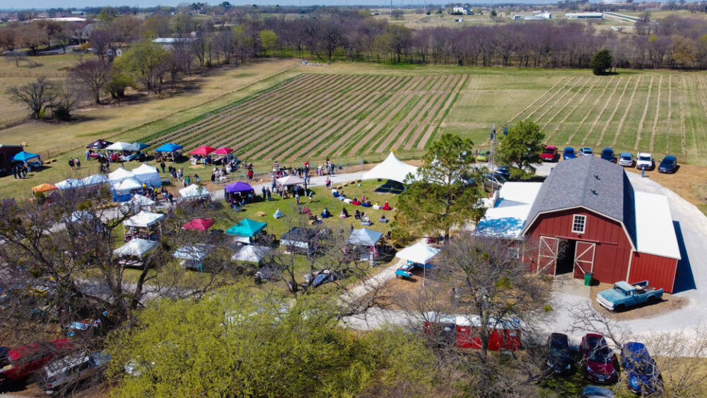 TX-Ture Farm Festivals