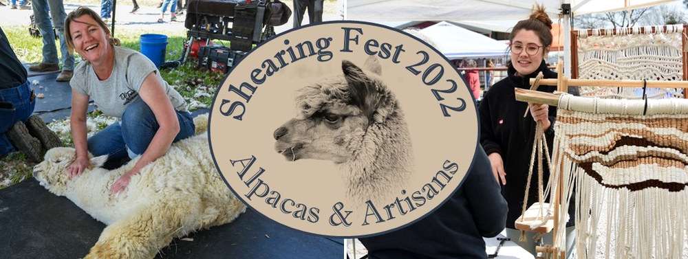 Shearing Fest April 2 2022