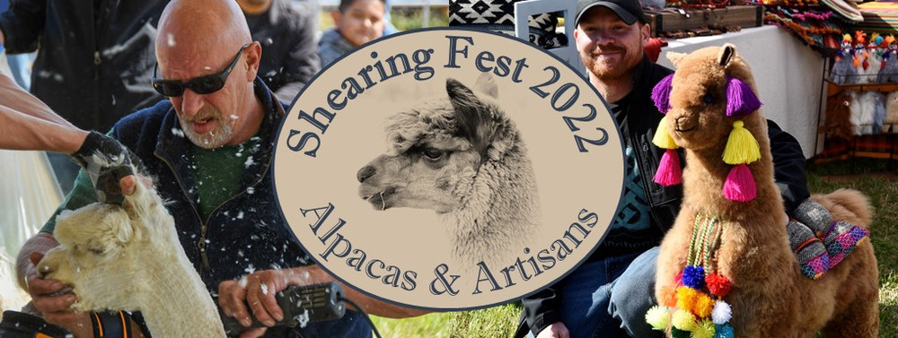 Shearing Fest April 2 2022