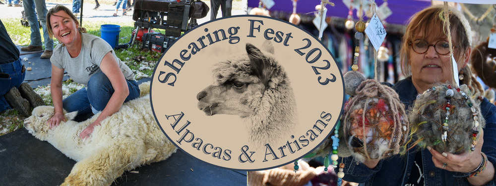 Shearing Fest